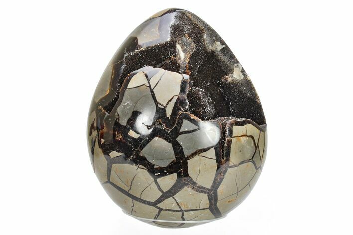 Septarian Dragon Egg Geode - Black Crystals #224232